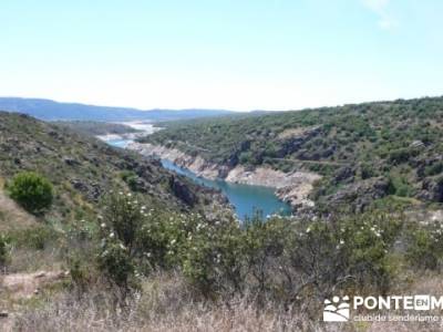 Senda Genaro - GR300 - Embalse de El Atazar - Embalse de Puentes Viejas - Presa de El Villar